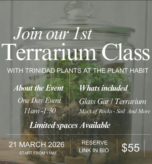 Terrarium Class