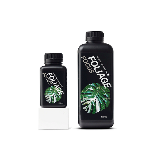 GT Foliage Focus